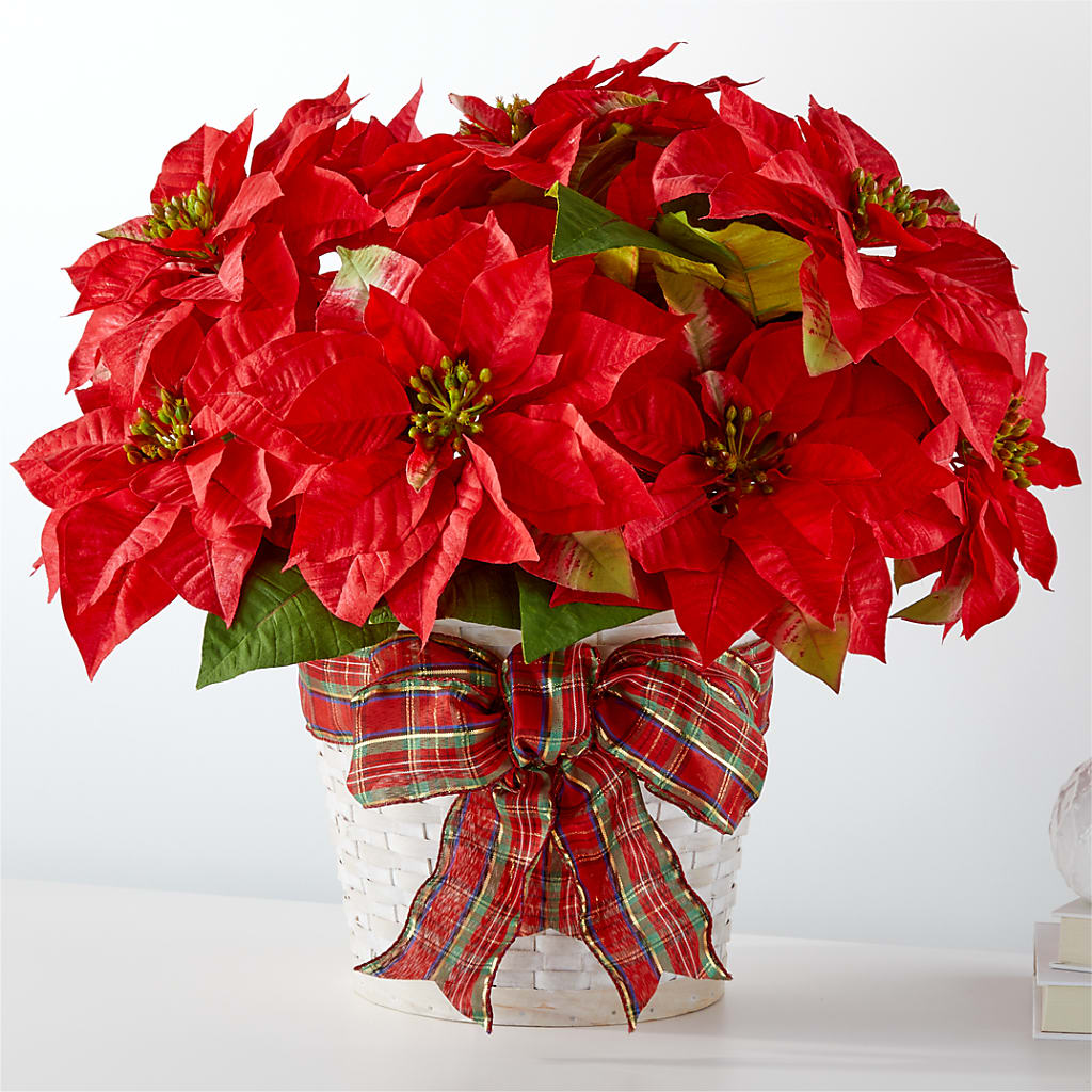 Happiest Holidays Poinsettia – Miracle Flowers, Folsom CA