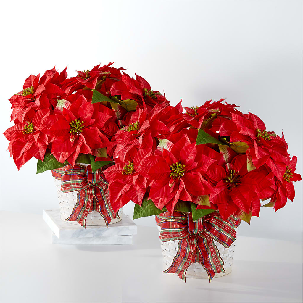 Happiest Holidays Poinsettia Bundle – Miracle Flowers, Folsom CA