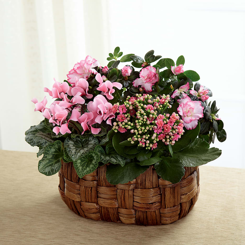 Pink Assortment – Miracle Flowers, Folsom CA
