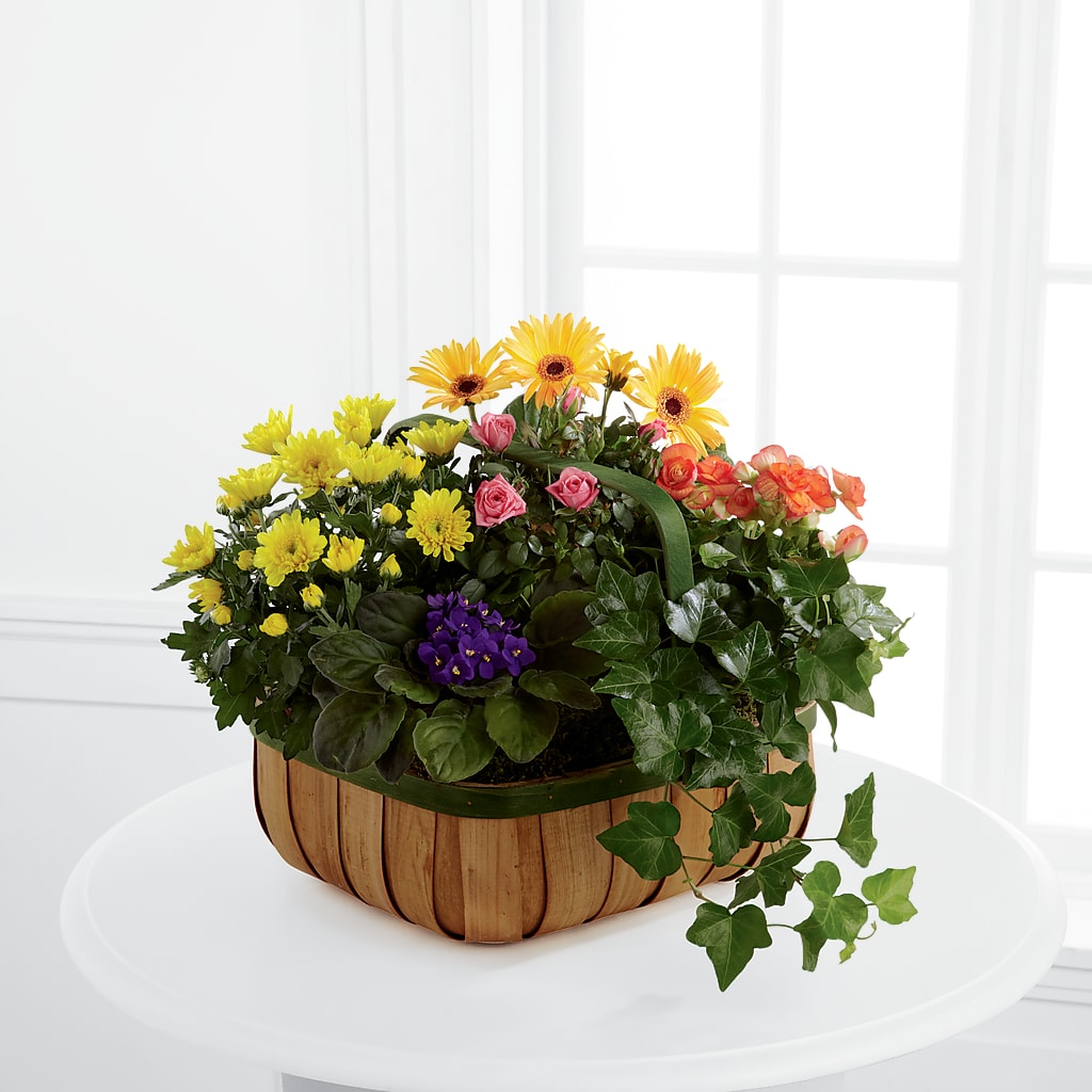 Gentle Blossoms Basket – Miracle Flowers, Folsom CA