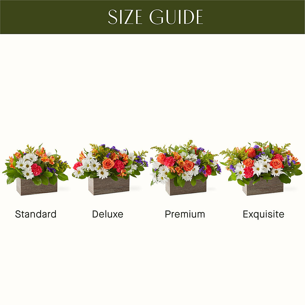 Oopsie Daisy Box Bouquet – Miracle Flowers, Folsom CA