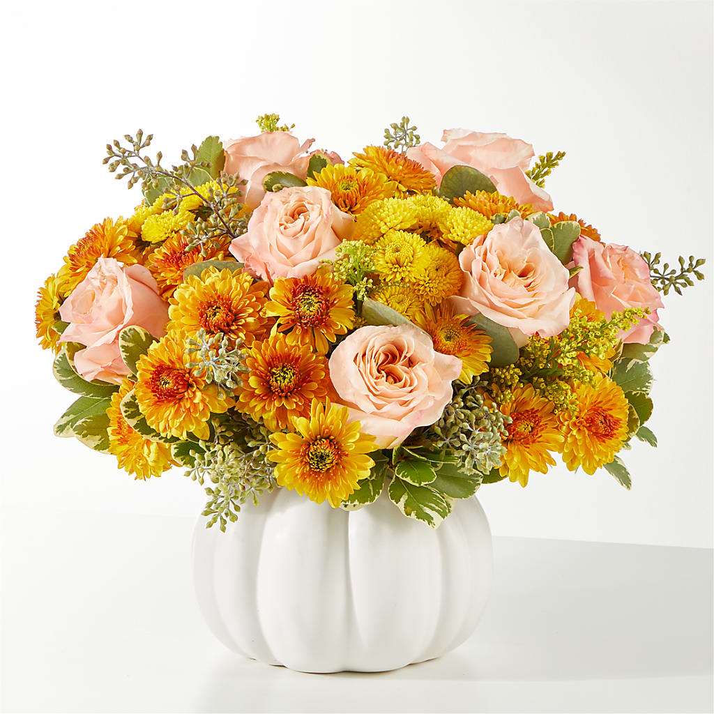 Peachy Pumpkin – Miracle Flowers, Folsom CA