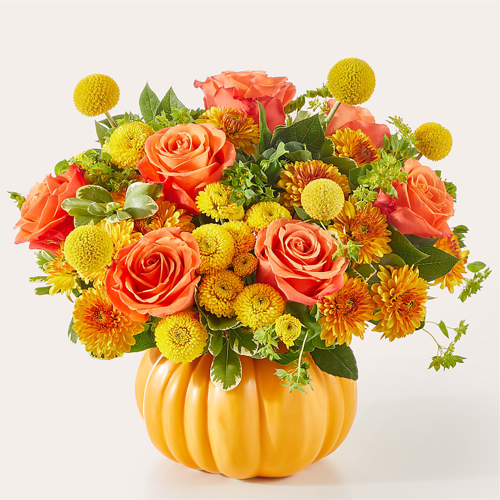 Gourdgeous Pumpkin – Miracle Flowers, Folsom CA