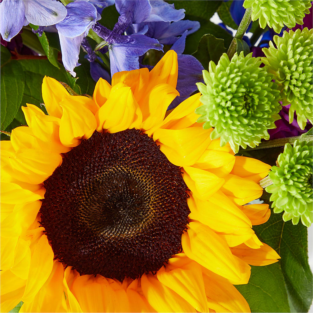 Catching Rays Bouquet – Miracle Flowers, Folsom CA