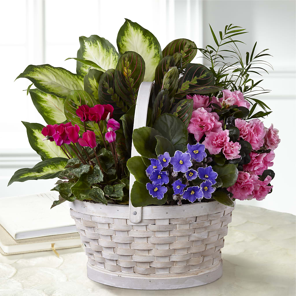 Peaceful Garden Planter – Miracle Flowers, Folsom CA