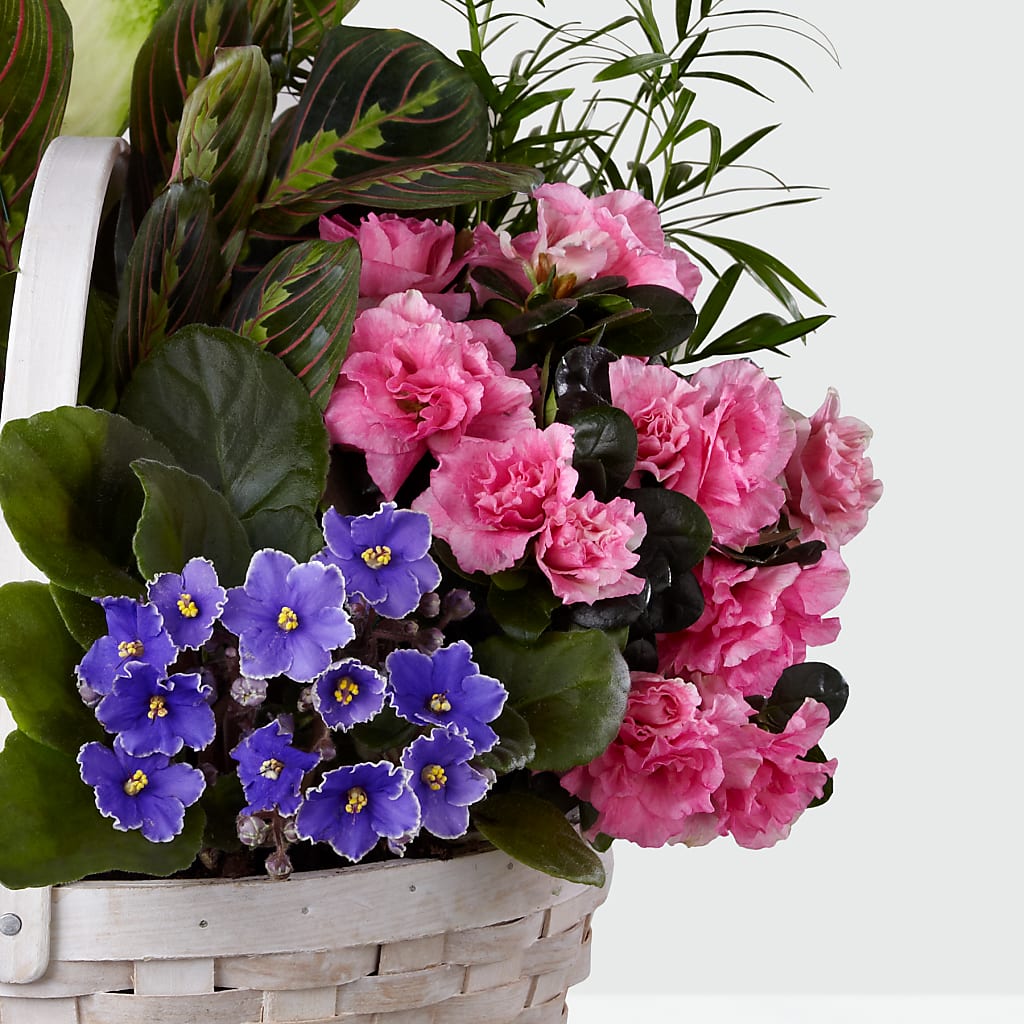Peaceful Garden Planter – Miracle Flowers, Folsom CA