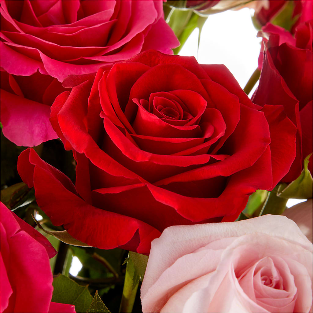 Love Notes Rose Bouquet – Miracle Flowers, Folsom CA