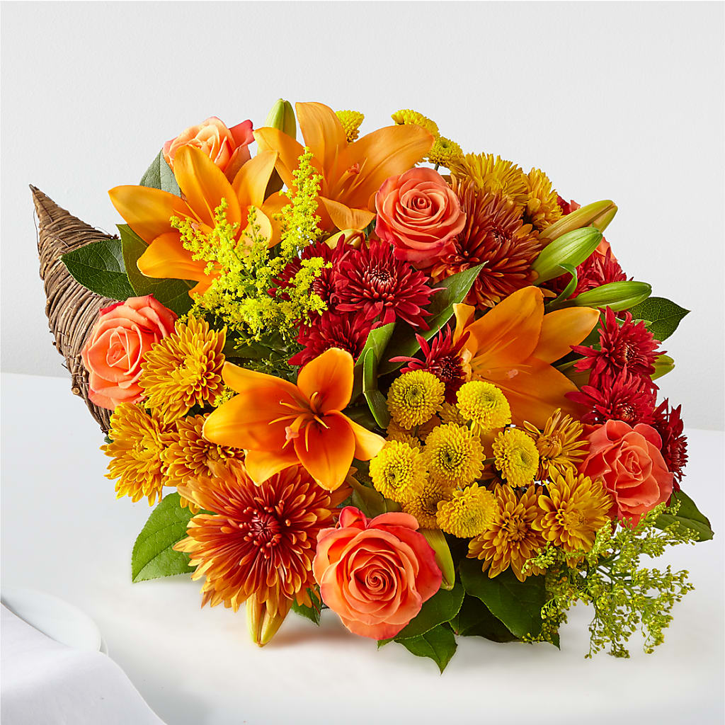 Feast of Color Cornucopia – Miracle Flowers, Folsom CA