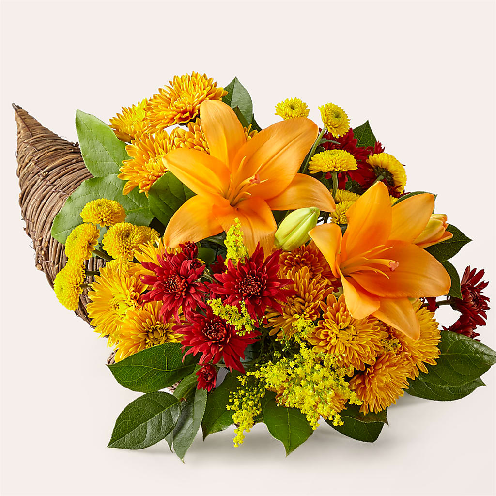 Feast of Color Cornucopia – Miracle Flowers, Folsom CA