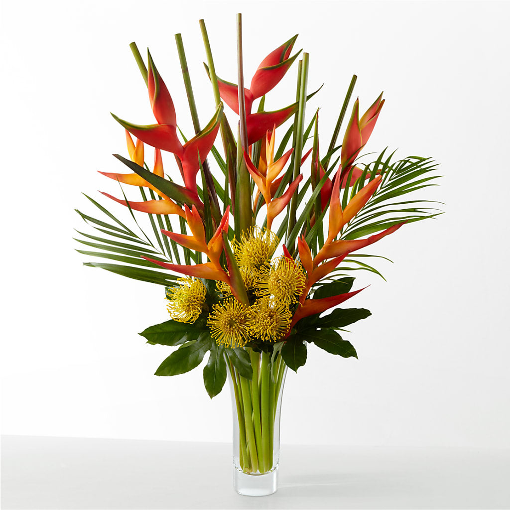 The Drama – Miracle Flowers, Folsom CA