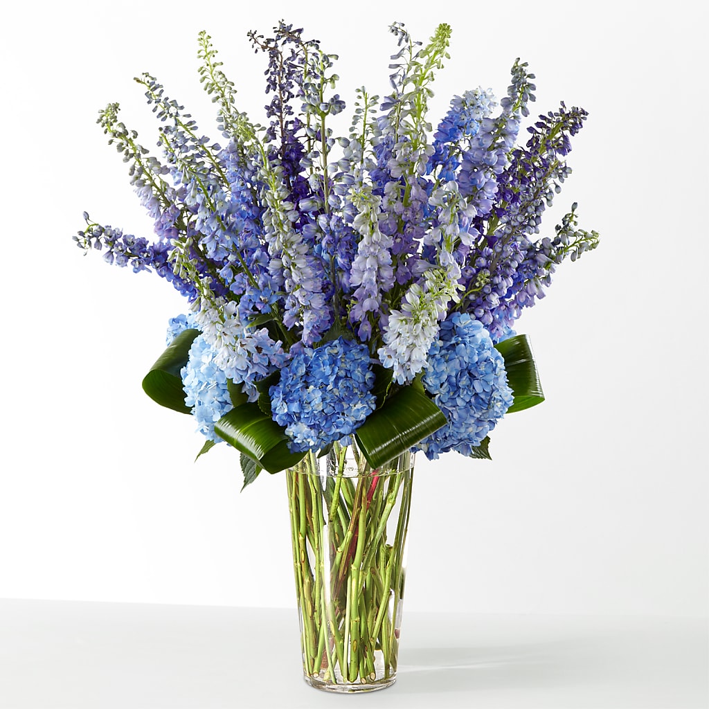The Editorial – Miracle Flowers, Folsom CA