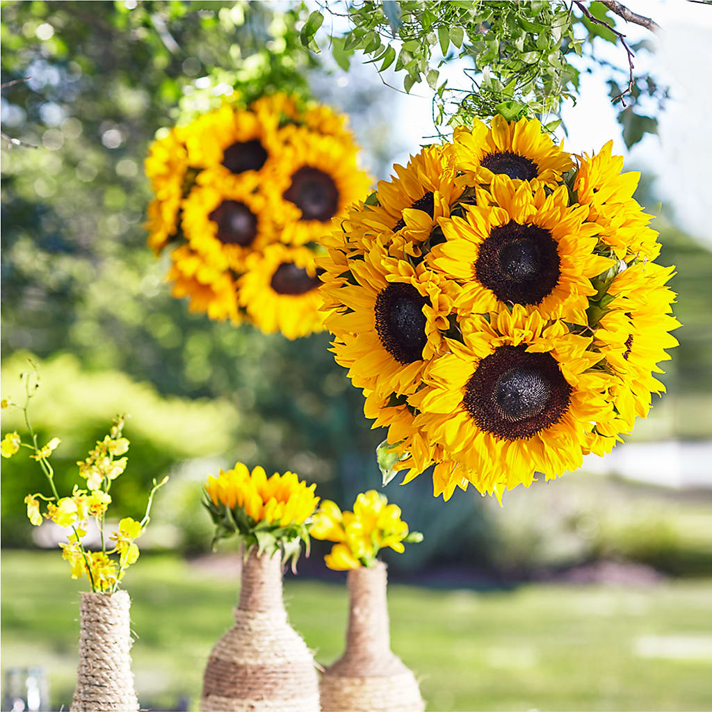 Sublime Garden Hanging Arrangement – Miracle Flowers, Folsom CA