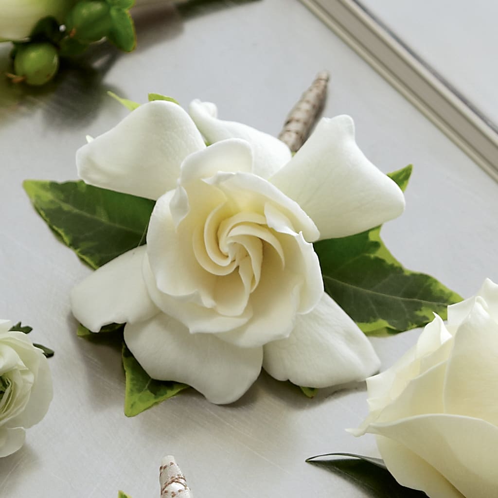 Gardenia Boutonniere – Miracle Flowers, Folsom CA