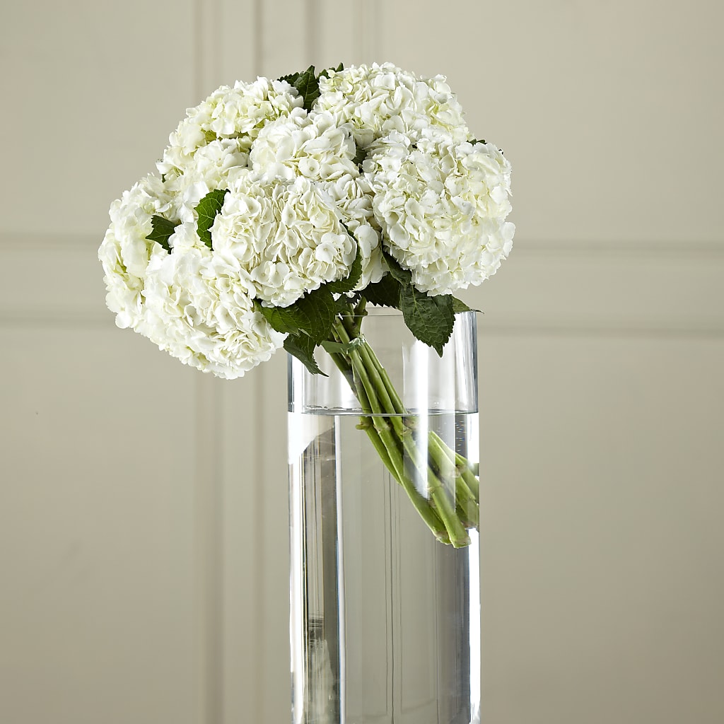 White Hydrangea Hand-Tied Bouquet – Miracle Flowers, Folsom CA