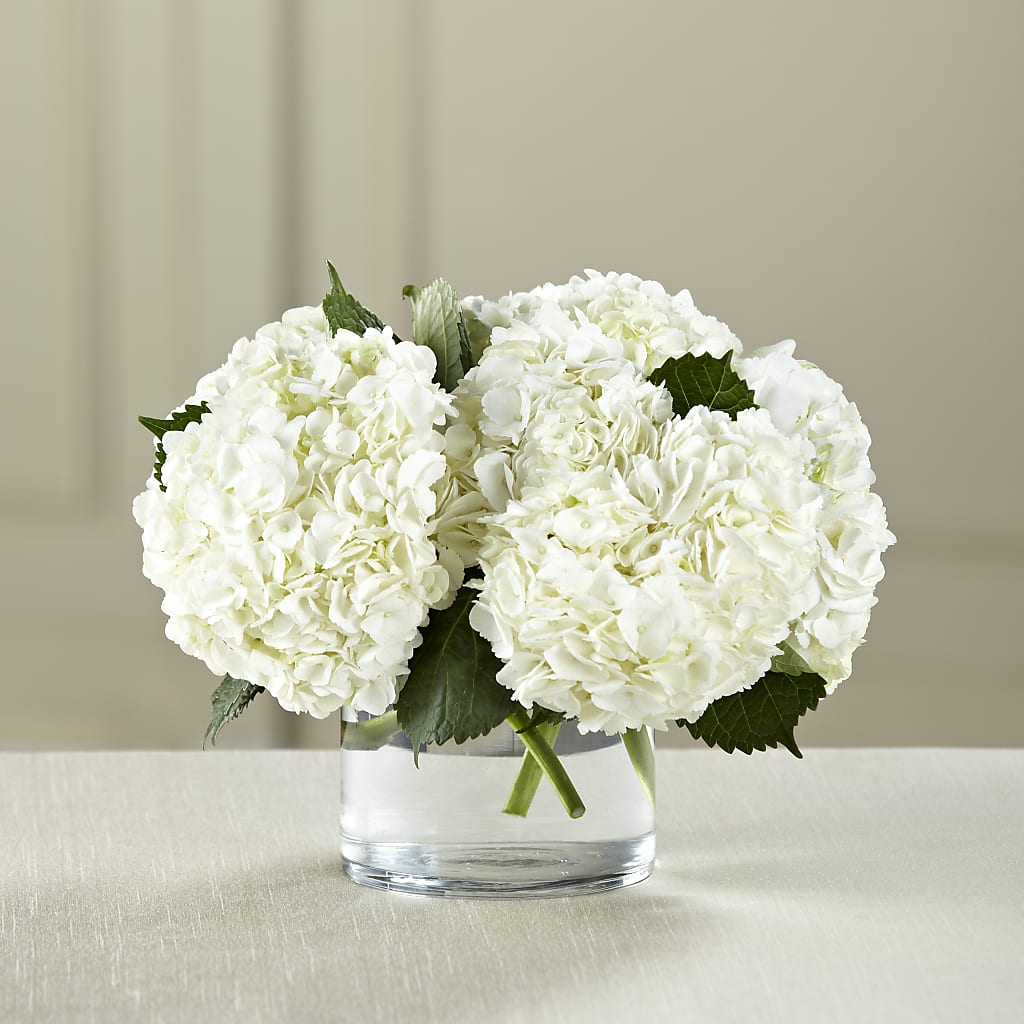 White Hydrangea Bouquet – Miracle Flowers, Folsom CA