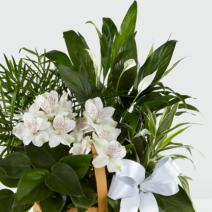 Peace & Serenity Dishgarden –  Miracle Flowers, Folsom CA