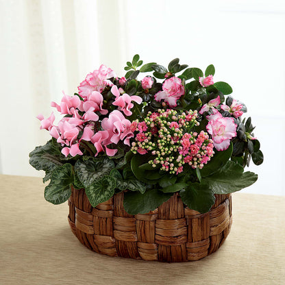 Pink Assortment –  Miracle Flowers, Folsom CA