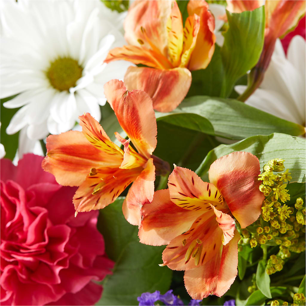 Oopsie Daisy Box Bouquet –  Miracle Flowers, Folsom CA