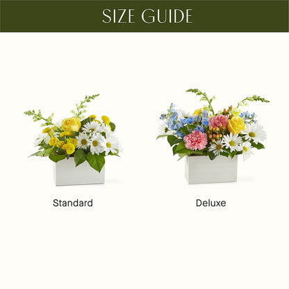 Sun Salutation Box Bouquet –  Miracle Flowers, Folsom CA