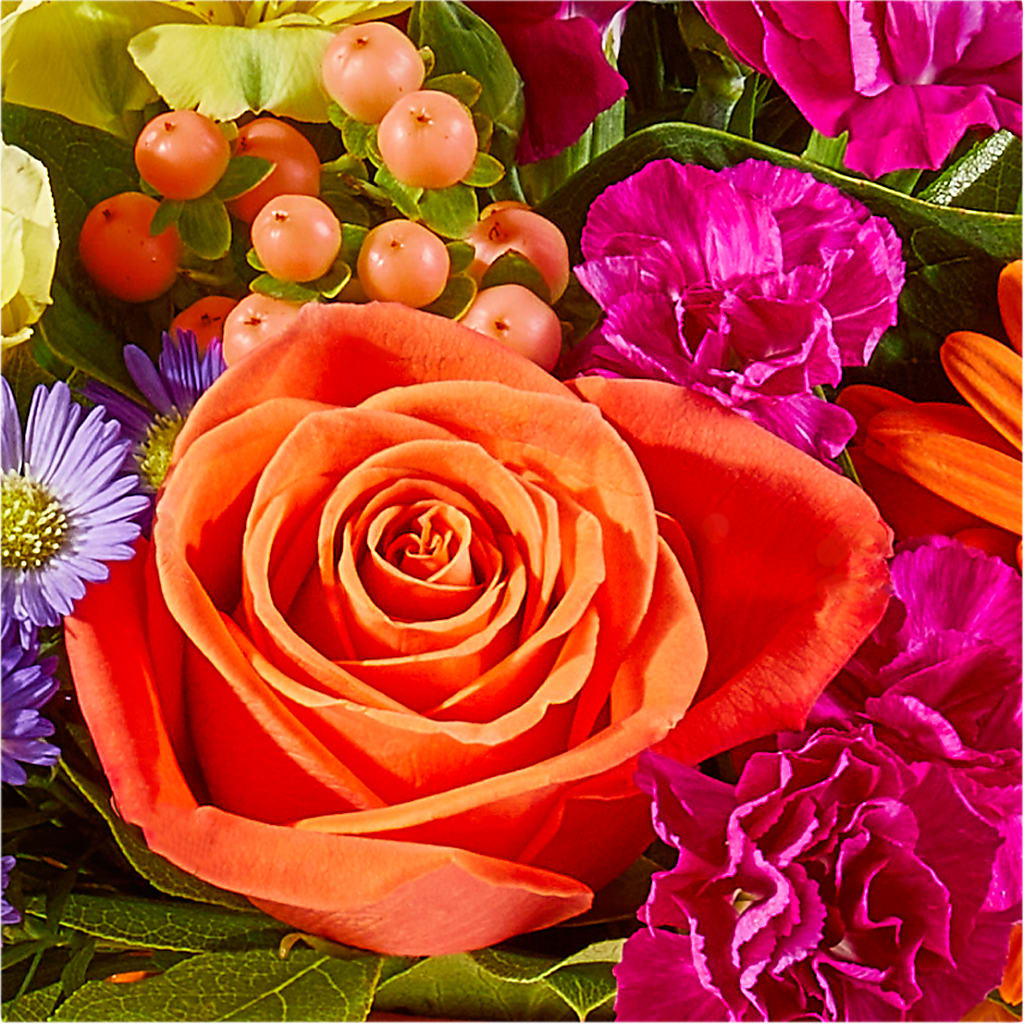 Tricks & Treats Pumpkin –  Miracle Flowers, Folsom CA