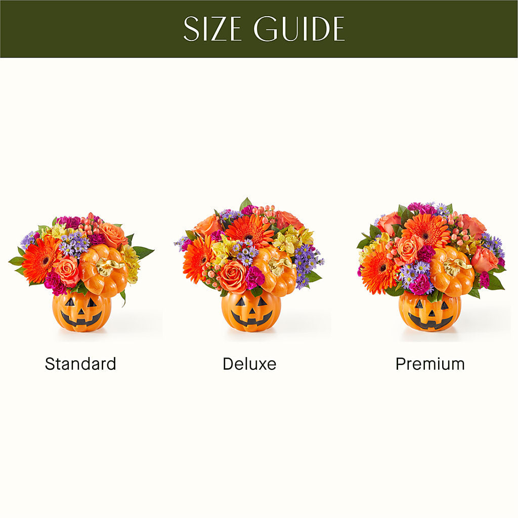 Tricks & Treats Pumpkin –  Miracle Flowers, Folsom CA