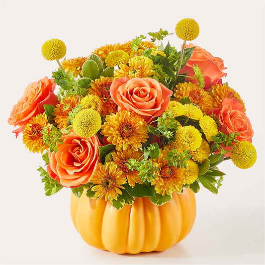 Gourdgeous Pumpkin –  Miracle Flowers, Folsom CA