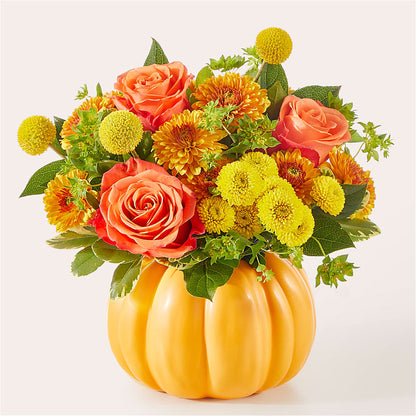 Gourdgeous Pumpkin –  Miracle Flowers, Folsom CA