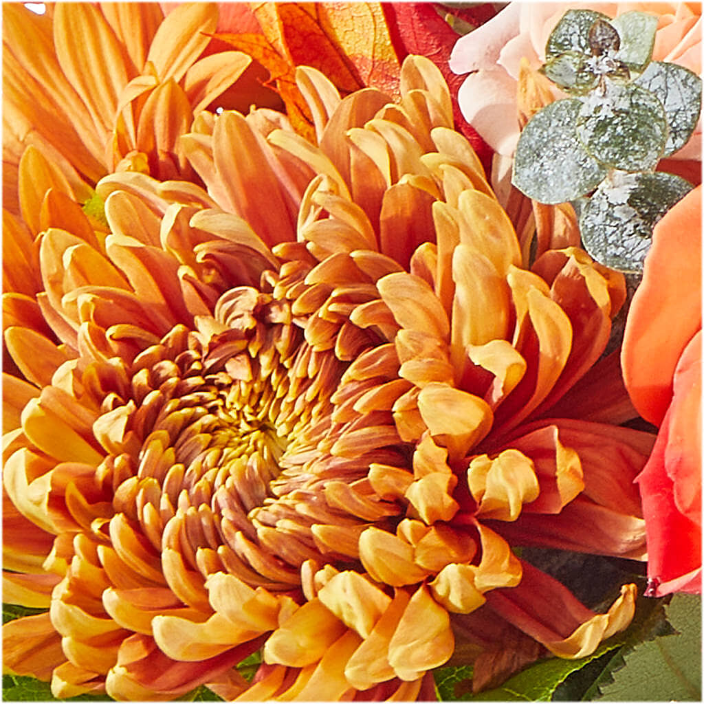 Scenic Route Bouquet –  Miracle Flowers, Folsom CA
