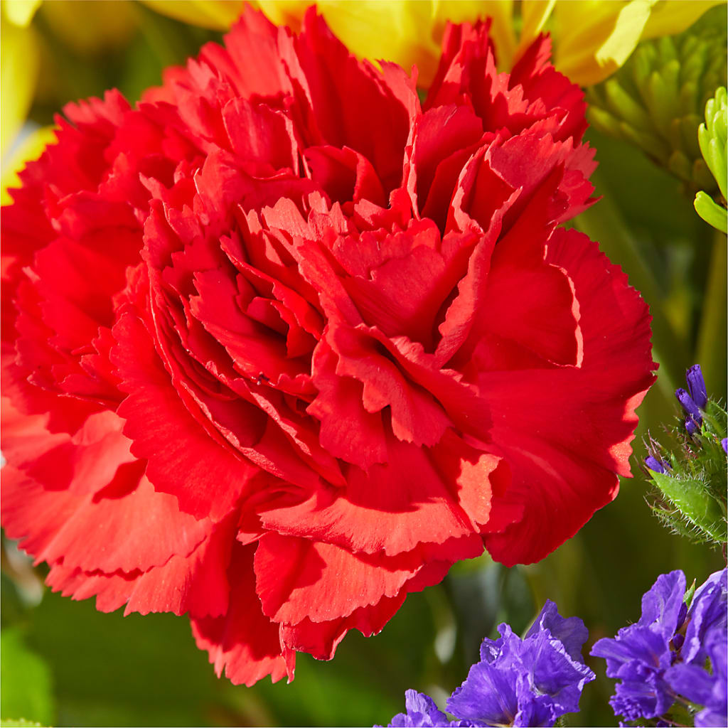 Brighter Days Bouquet –  Miracle Flowers, Folsom CA