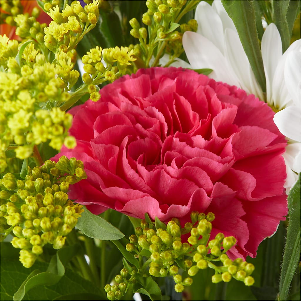 Oopsie Daisy Bouquet –  Miracle Flowers, Folsom CA