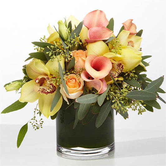 The Visionary –  Miracle Flowers, Folsom CA