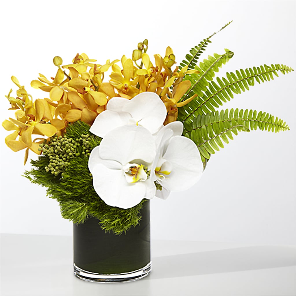 The Tropics –  Miracle Flowers, Folsom CA