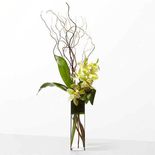 The Statement –  Miracle Flowers, Folsom CA