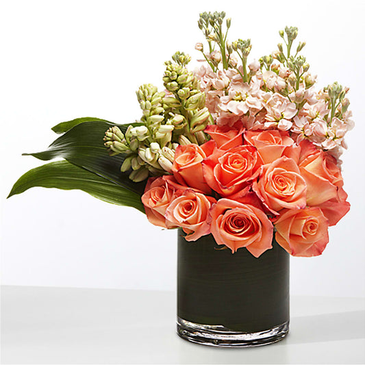 The Moment –  Miracle Flowers, Folsom CA