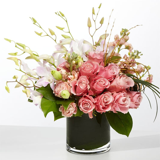 The Muse –  Miracle Flowers, Folsom CA
