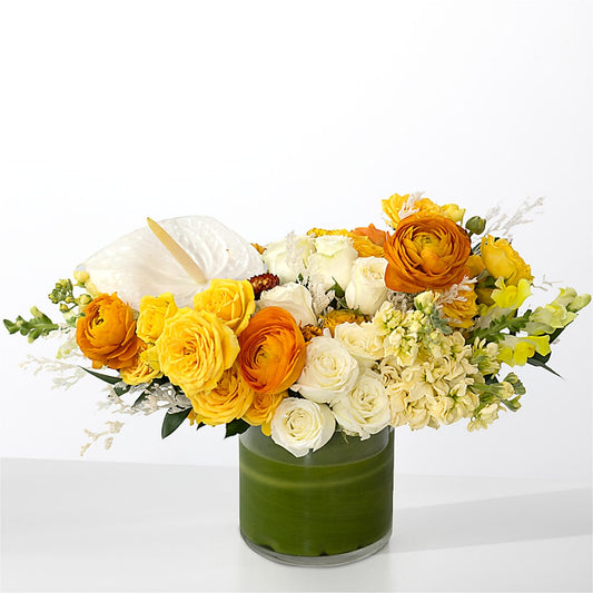 The Optimist –  Miracle Flowers, Folsom CA