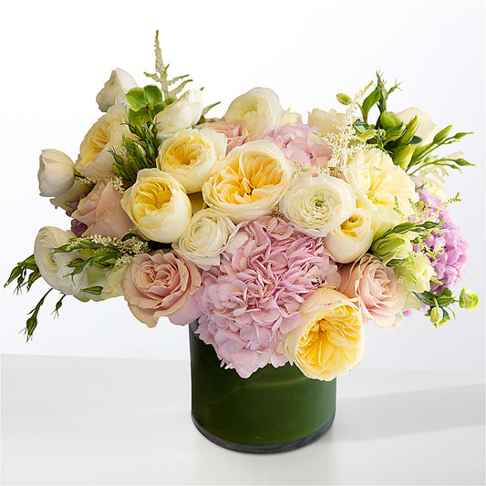 The Melody –  Miracle Flowers, Folsom CA