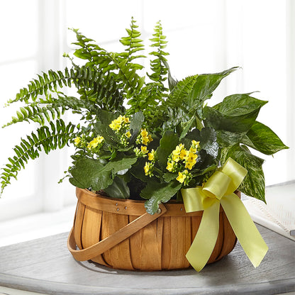 Always Dear Dishgarden –  Miracle Flowers, Folsom CA