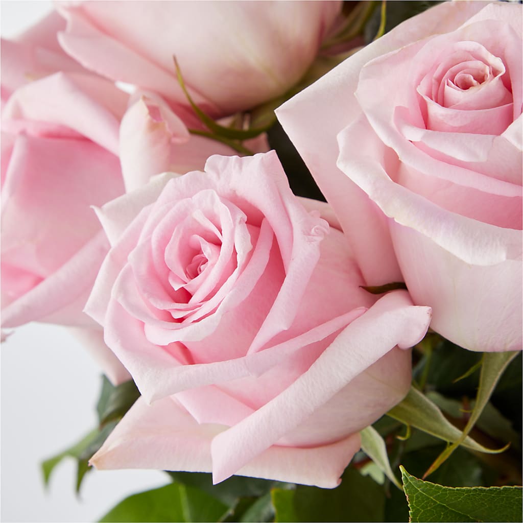 Picture Perfect Pink Rose Bouquet –  Miracle Flowers, Folsom CA