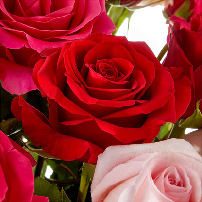 Love Notes Rose Bouquet –  Miracle Flowers, Folsom CA