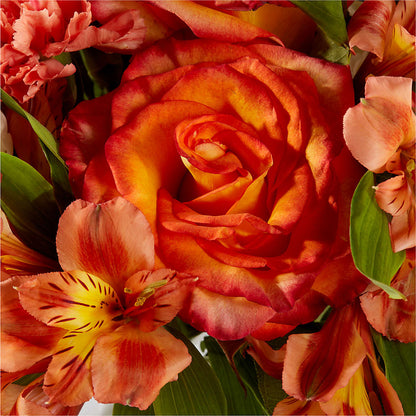 Apricot Glow Bouquet –  Miracle Flowers, Folsom CA