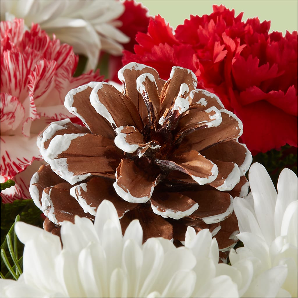 Candy Cane Lane Bouquet –  Miracle Flowers, Folsom CA