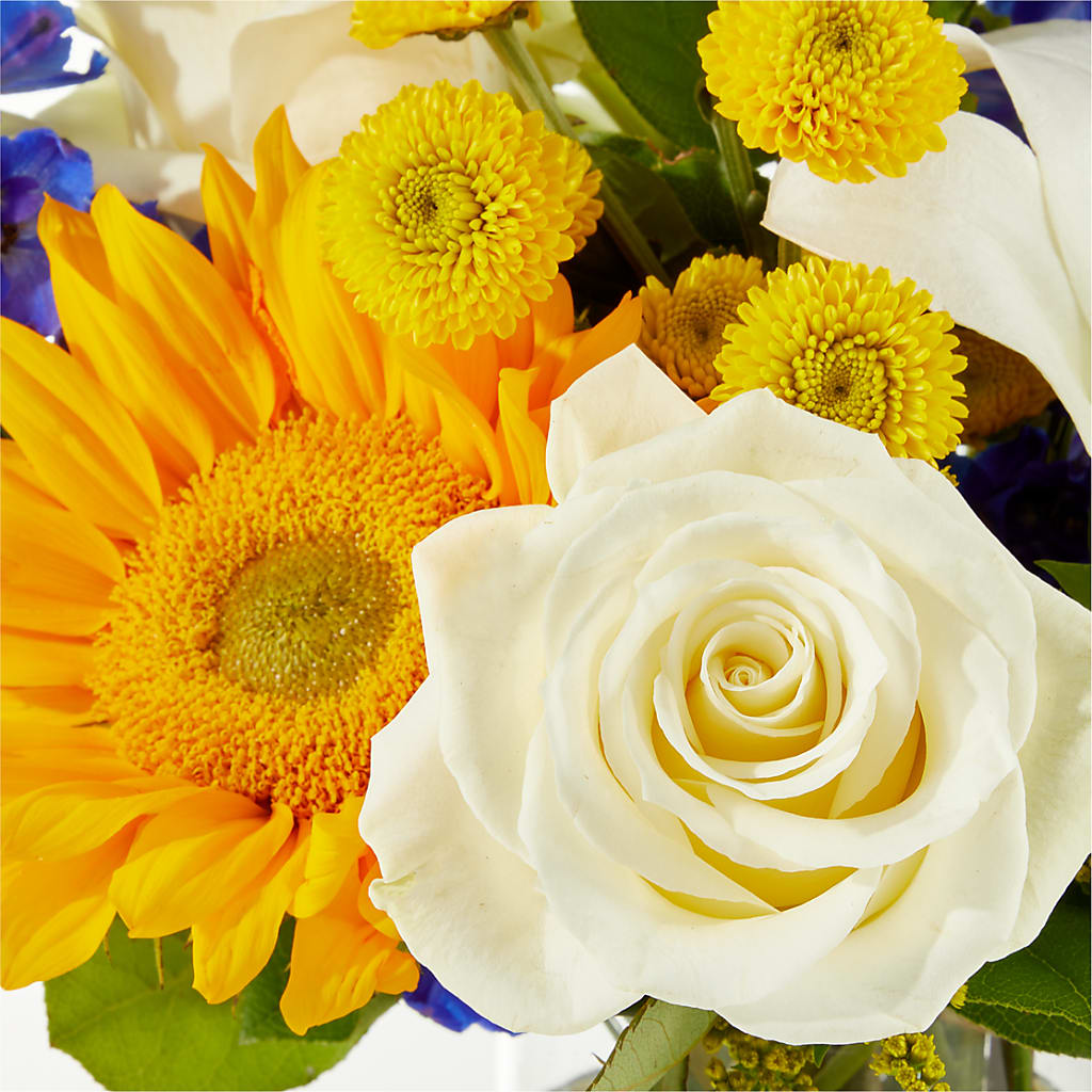 Stargazing Bouquet –  Miracle Flowers, Folsom CA