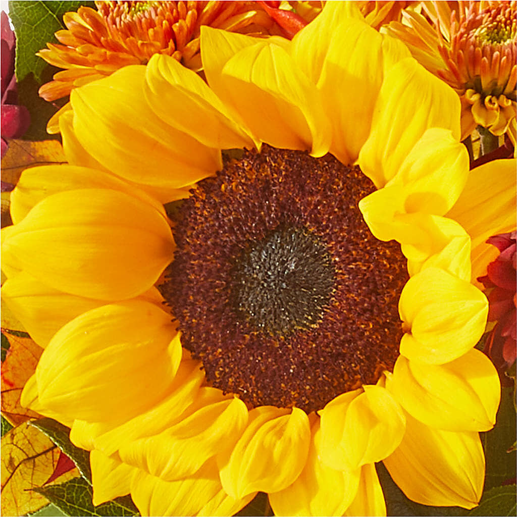 Sunny Side Bouquet –  Miracle Flowers, Folsom CA