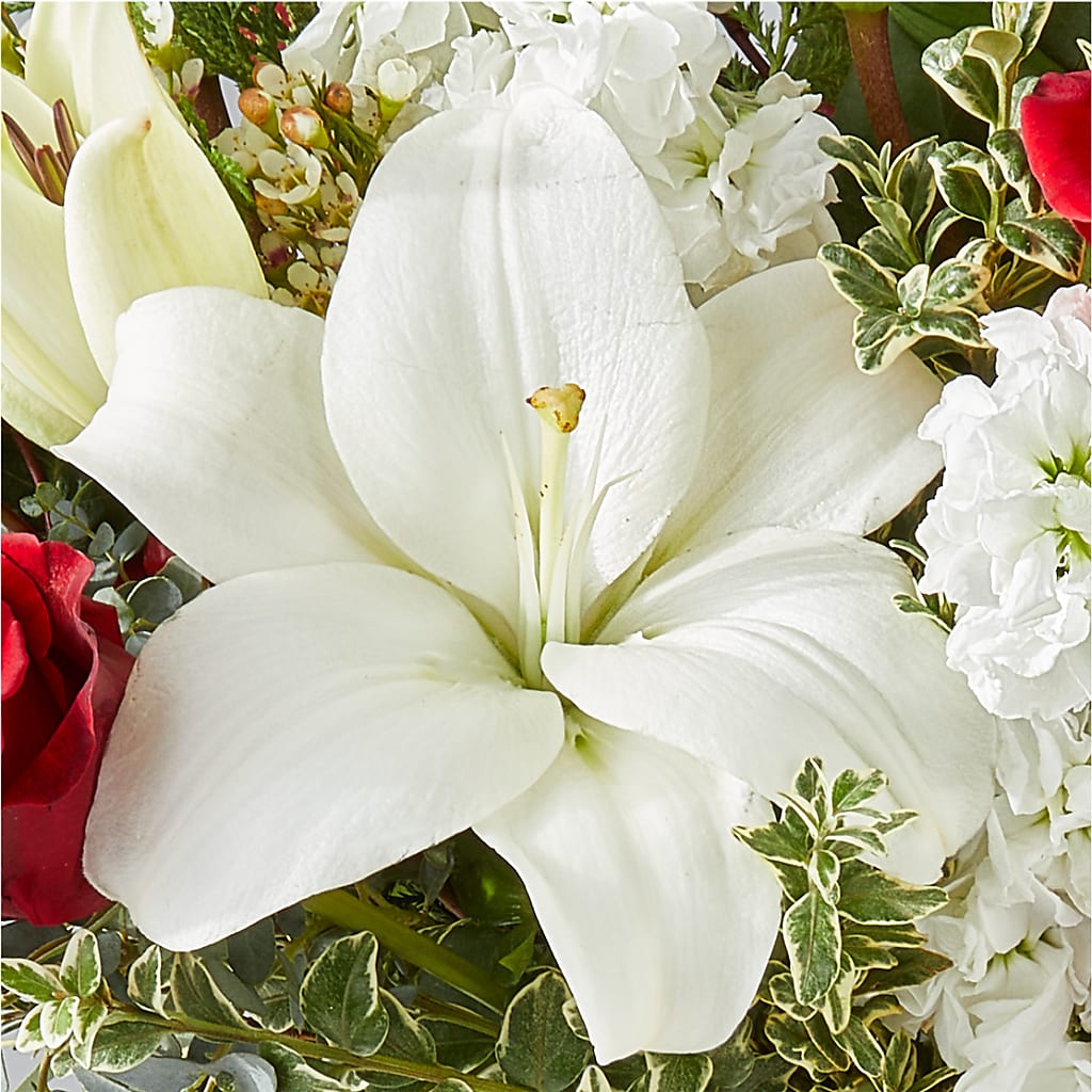 Twinkle Lights Bouquet –  Miracle Flowers, Folsom CA