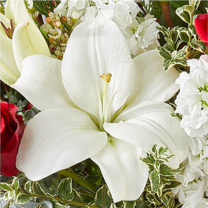 Twinkle Lights Bouquet –  Miracle Flowers, Folsom CA