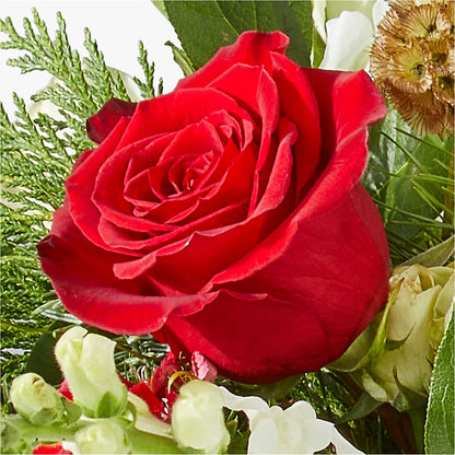 Deck the Halls Bouquet –  Miracle Flowers, Folsom CA