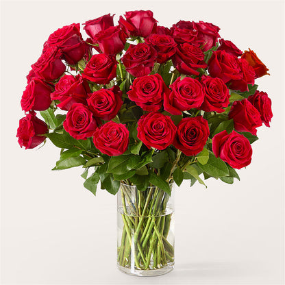 The One Red Rose Bouquet –  Miracle Flowers, Folsom CA