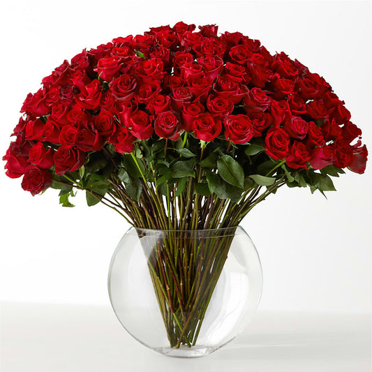 The Idealist –  Miracle Flowers, Folsom CA
