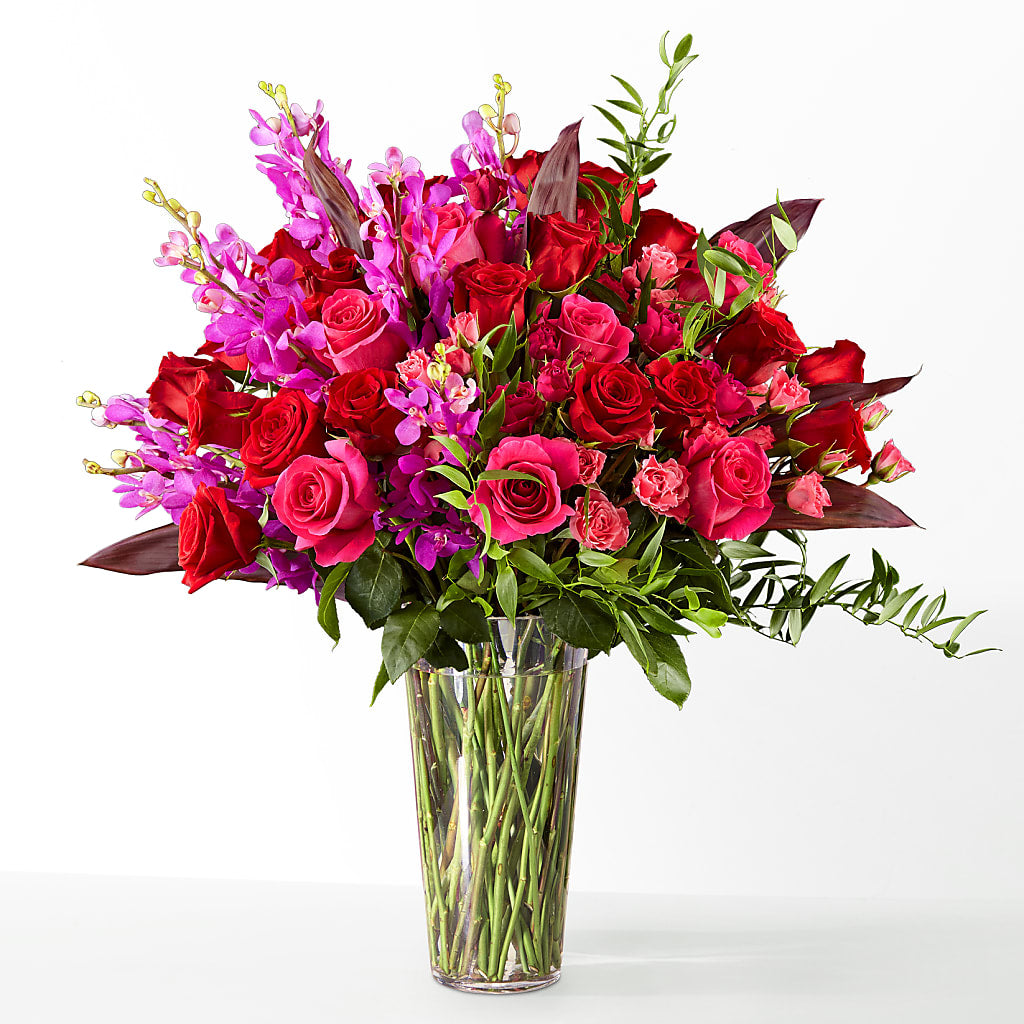 The Honeymoon –  Miracle Flowers, Folsom CA